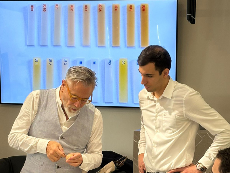 Դիսկոլորիտների վերացում և Bleach էֆեկտի ստացում Micerium պլոմբանյութերով